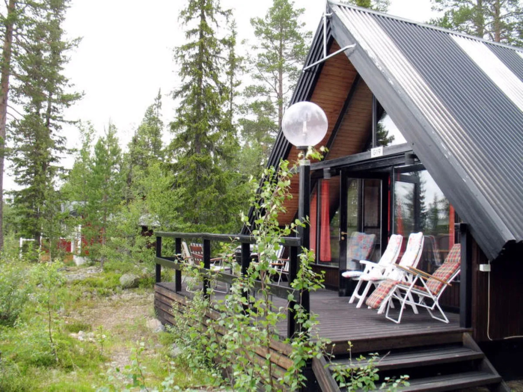 Lofsdalen Fjällbjörken (HJD054)