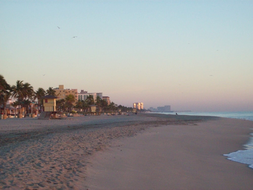 Hollywood Beach Resort- Large Studio Sleeps 4