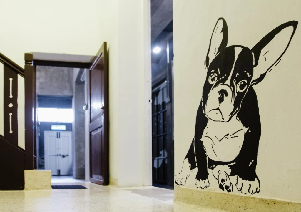 Paper Plane Hostel