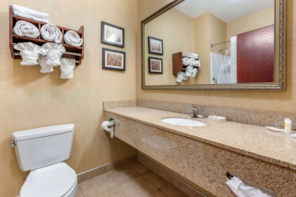 Comfort Suites Elkhart South