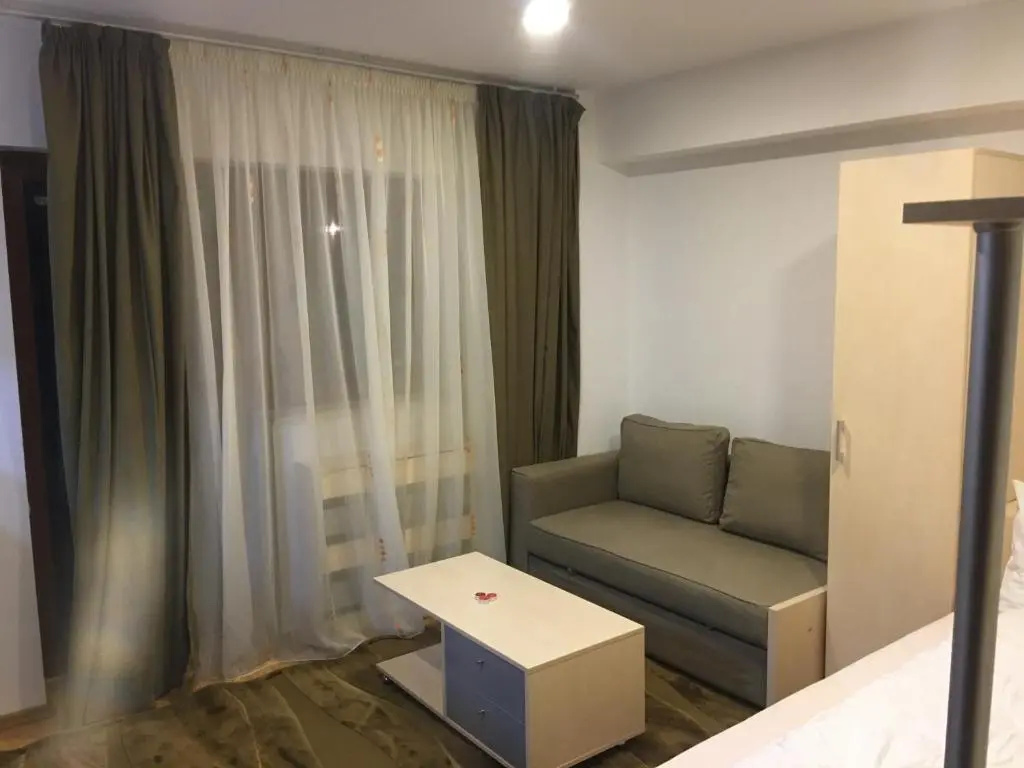 Sinaia Mirage Studio - Self Check-in & Self services! The studio is located 700 meters from the city center, 600 meters from the Peleș Castle in Sinaia - Plata si cu card vacanta