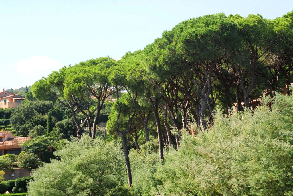 Hôtel Les Jardins De Sainte-Maxime