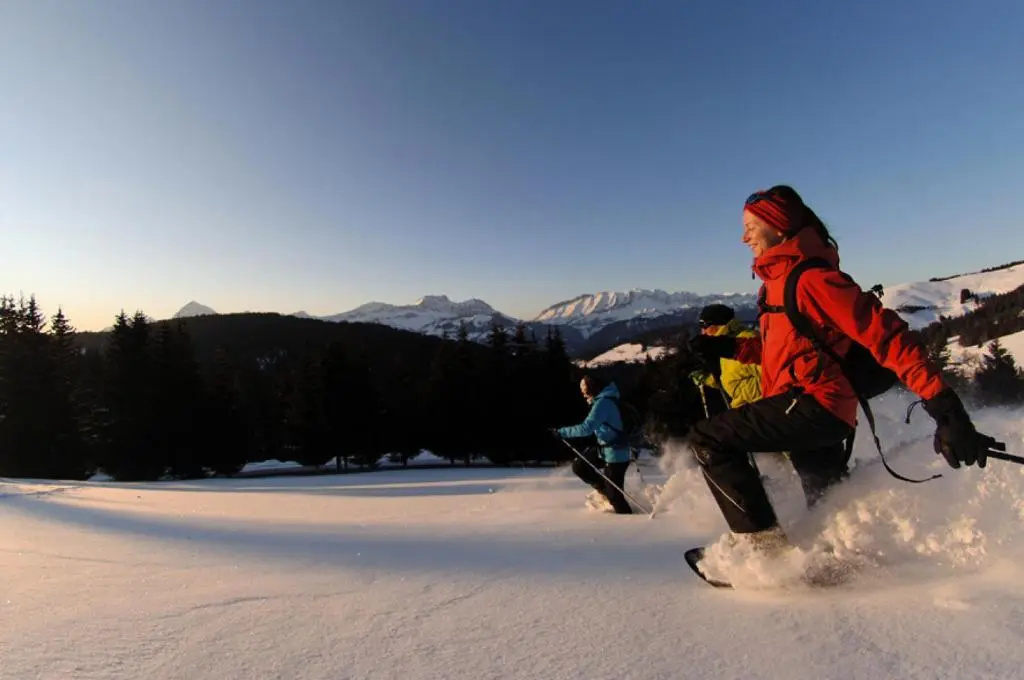 Chalet Le Buset - Grand chalet proche des pistes et du centre du village MAE-3044