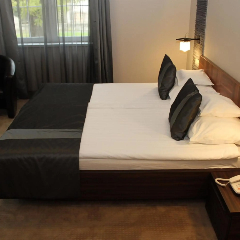 Lévay Villa Hotel
