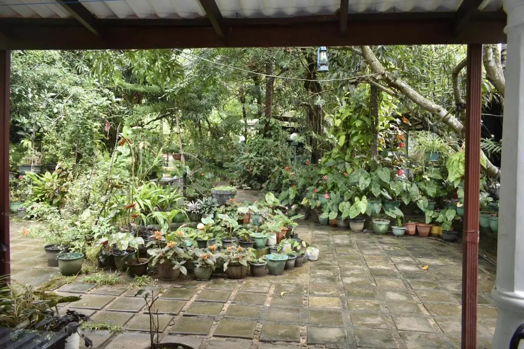 Sigiri Rock Side Home Stay