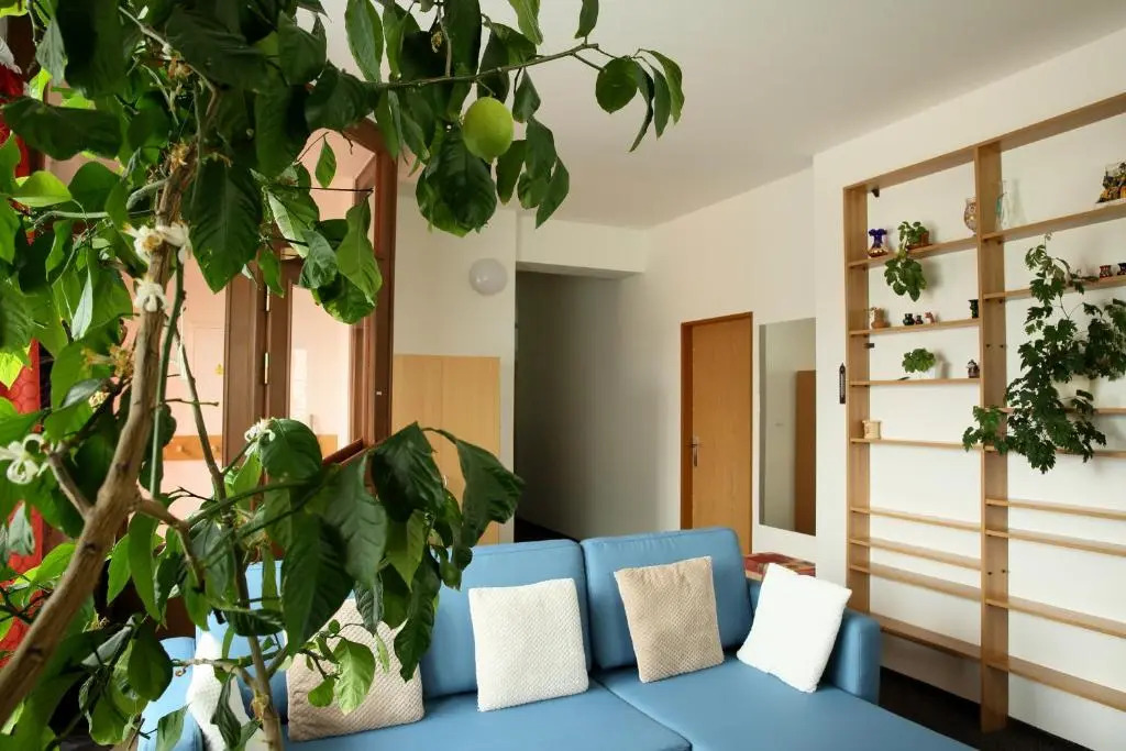 Apartman Flora