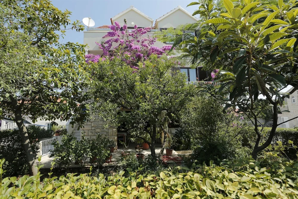 Apartment ANTE