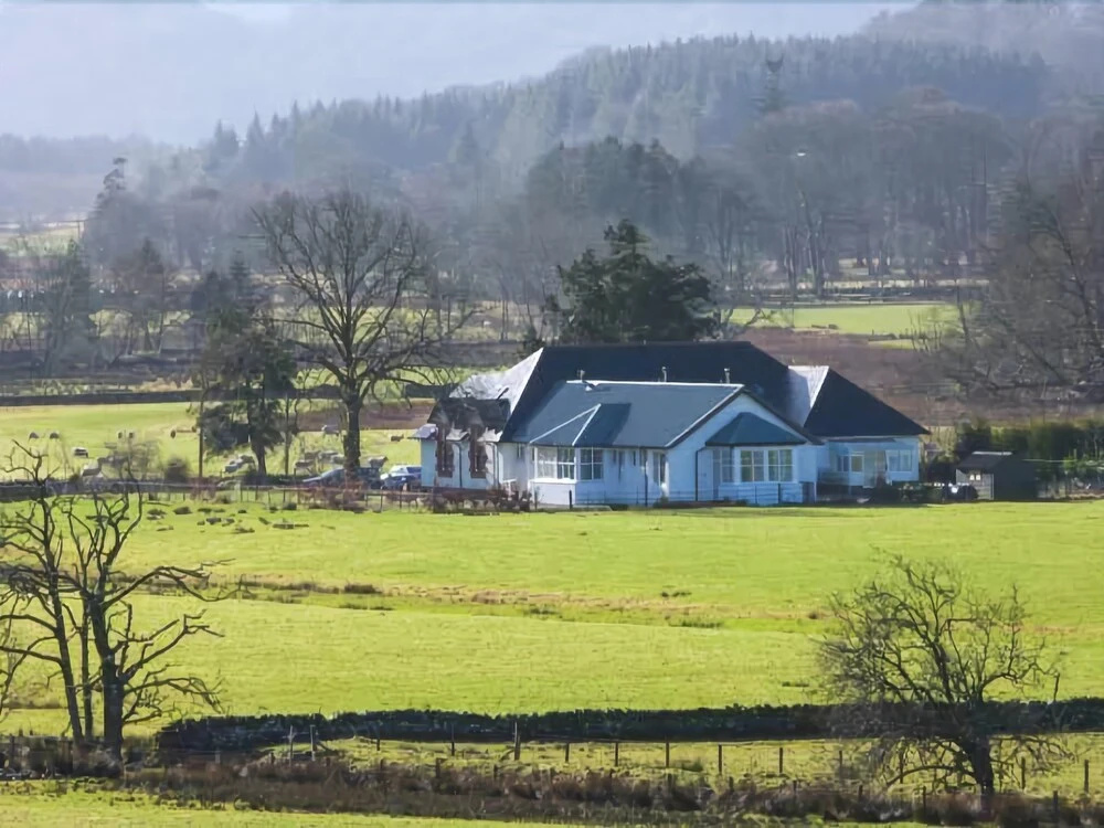 Crann Teile (Lime Tree)