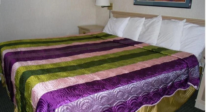 Vagabond Inn Reno