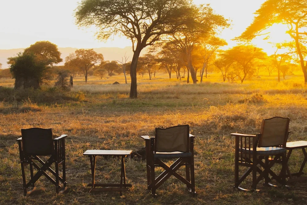 Corfield Camp Tarangire