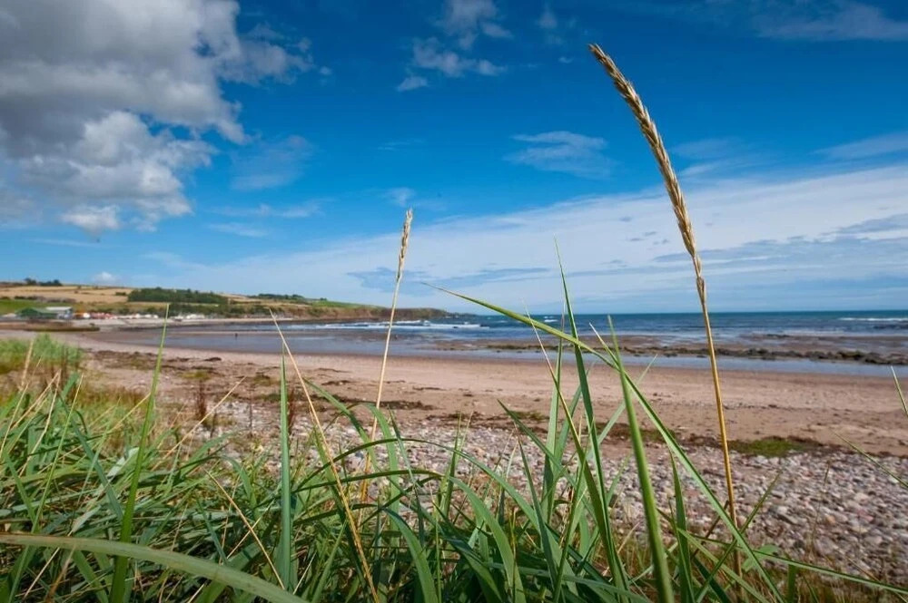 Bayview Bed and Breakfast