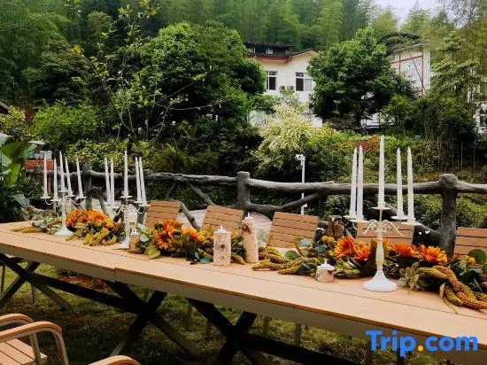 Shunan Bamboo Sea Pinecui·Bieyuan Homestay