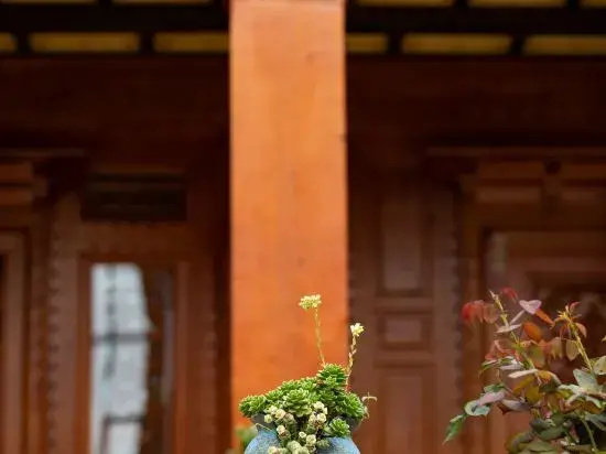 Shangri-La Yunshangyuandan Homestay