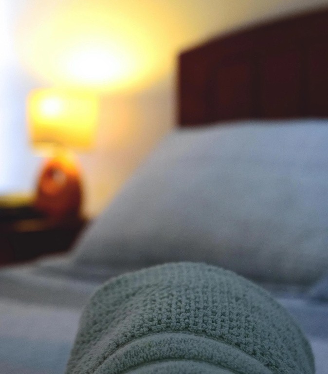 Santiago Furnished Apartments
