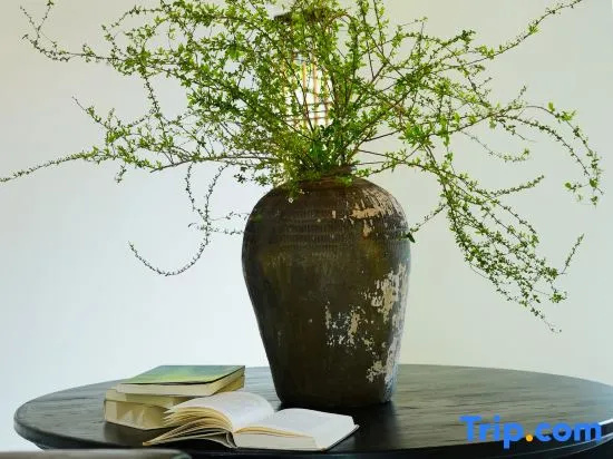 Yiliangfeng Mountain View Vacation Homestay (Longmen Mountain Apricot Plum Peak Scenic Area Branch)