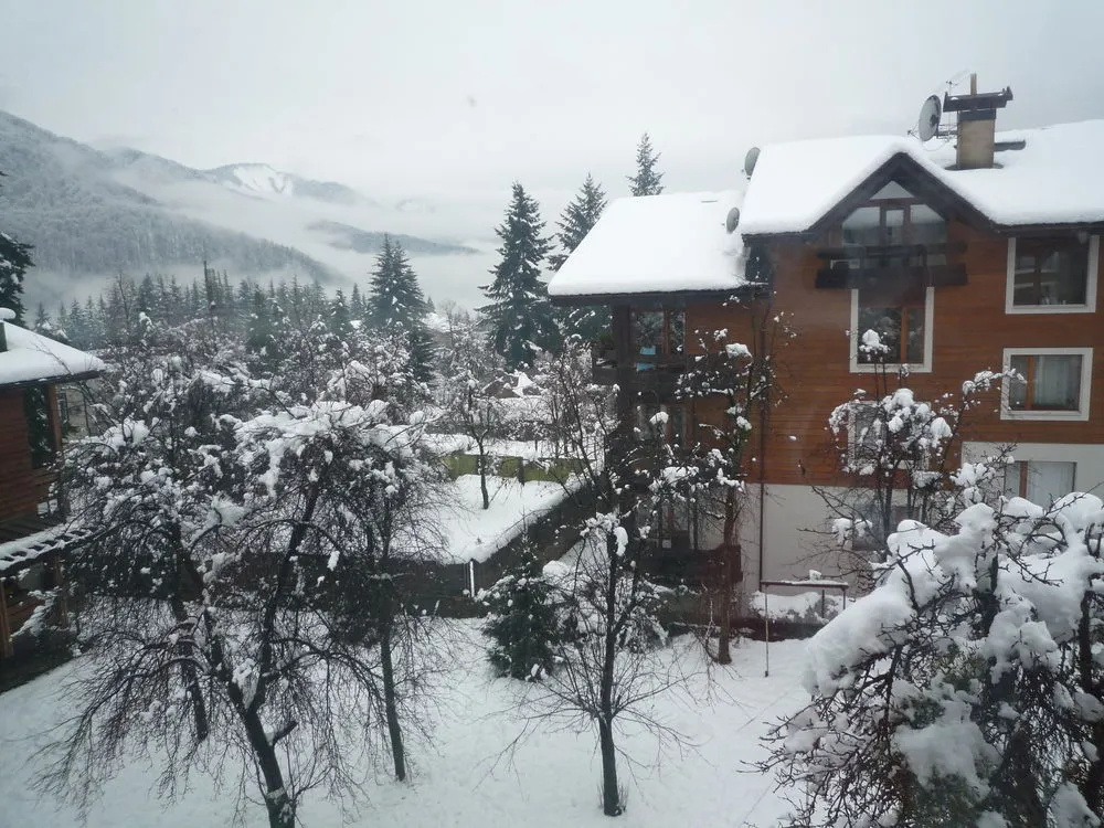 EcoChalet Apartments in Krasnaya Polyana