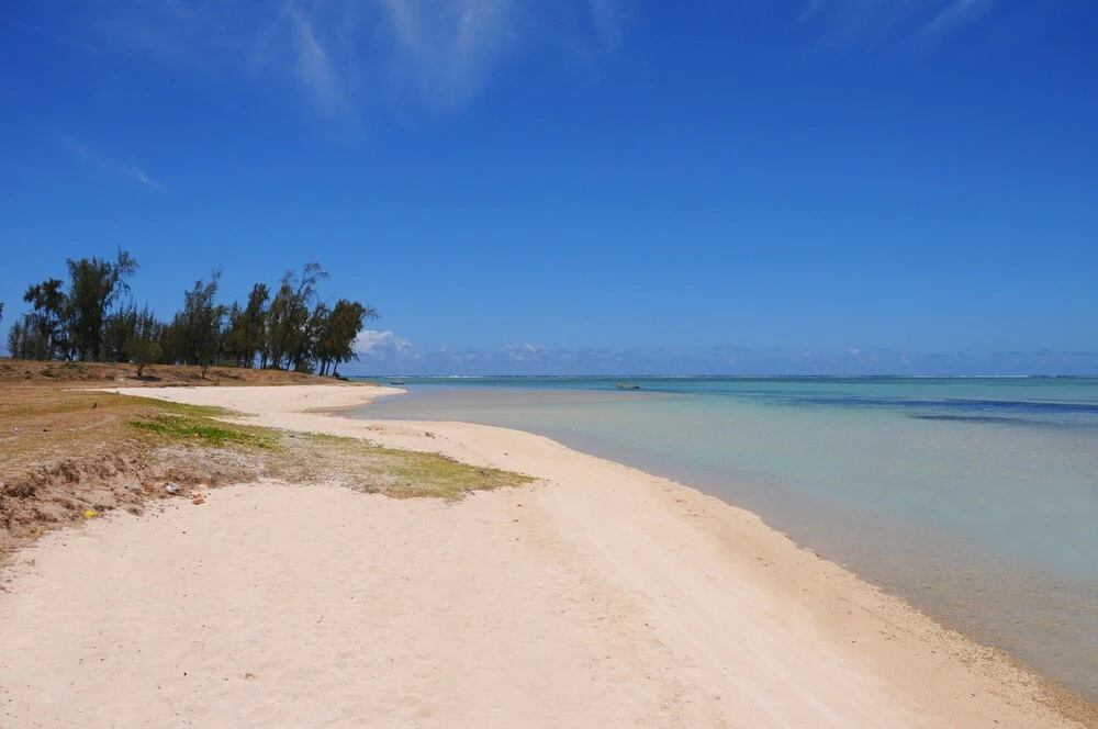The Kiter's Nest