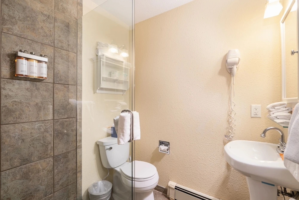 Manitou Lodge 2 by Alpine Lodging Telluride