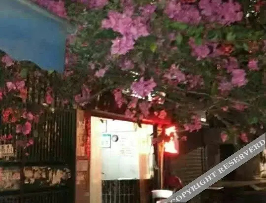 深圳馨逸旅馆