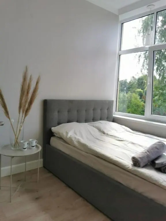 Tolstoi Scandinavian 1 bedroom apartment + free parking