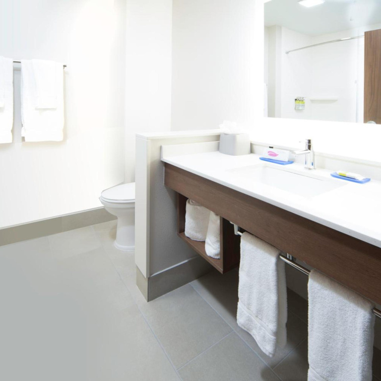 Holiday Inn Express & Suites - Fort Myers Airport by IHG