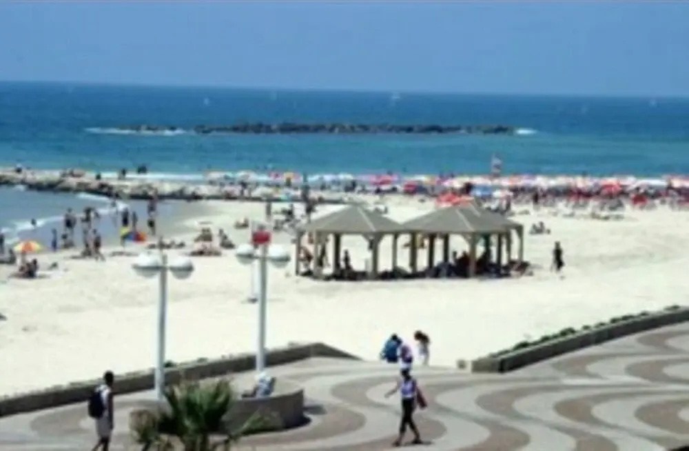 Beach View Apartments And Studio