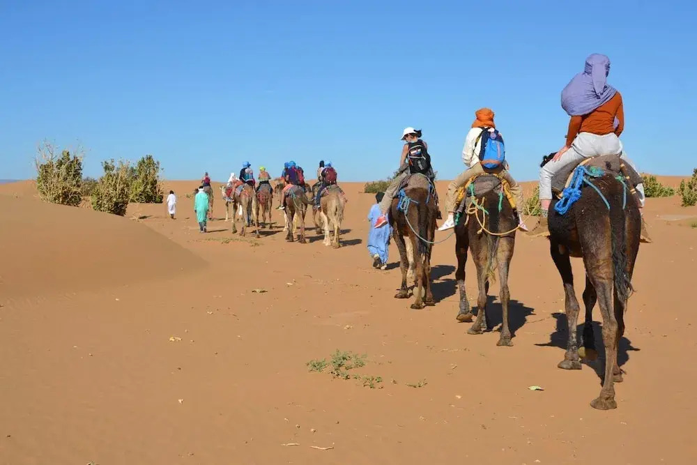 Camp Mbark authentic