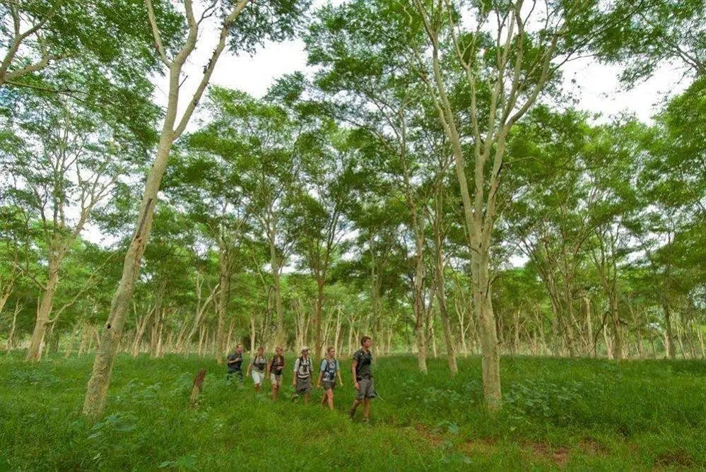 EcoTraining Makuleke Camp