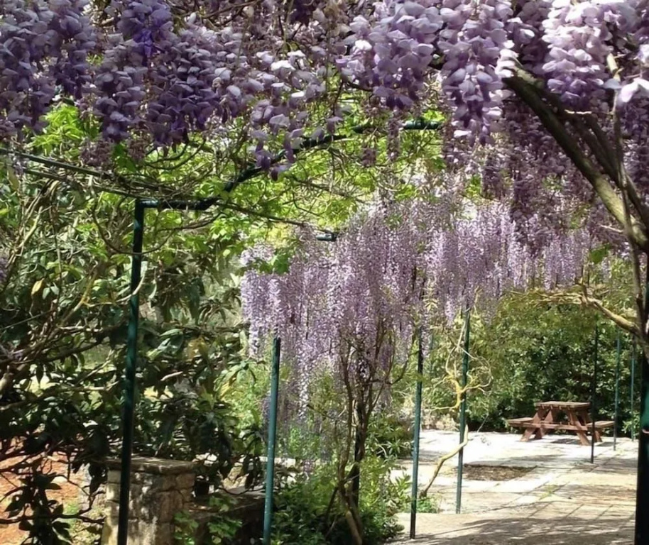 Gentilini Retreat