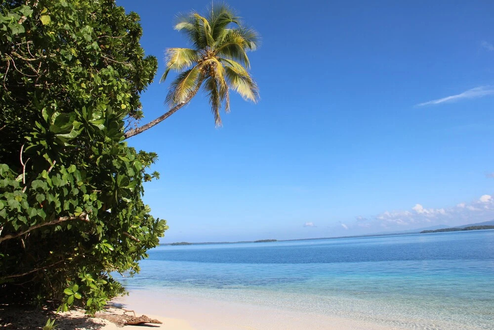 Evis Resort at Nggatirana Island