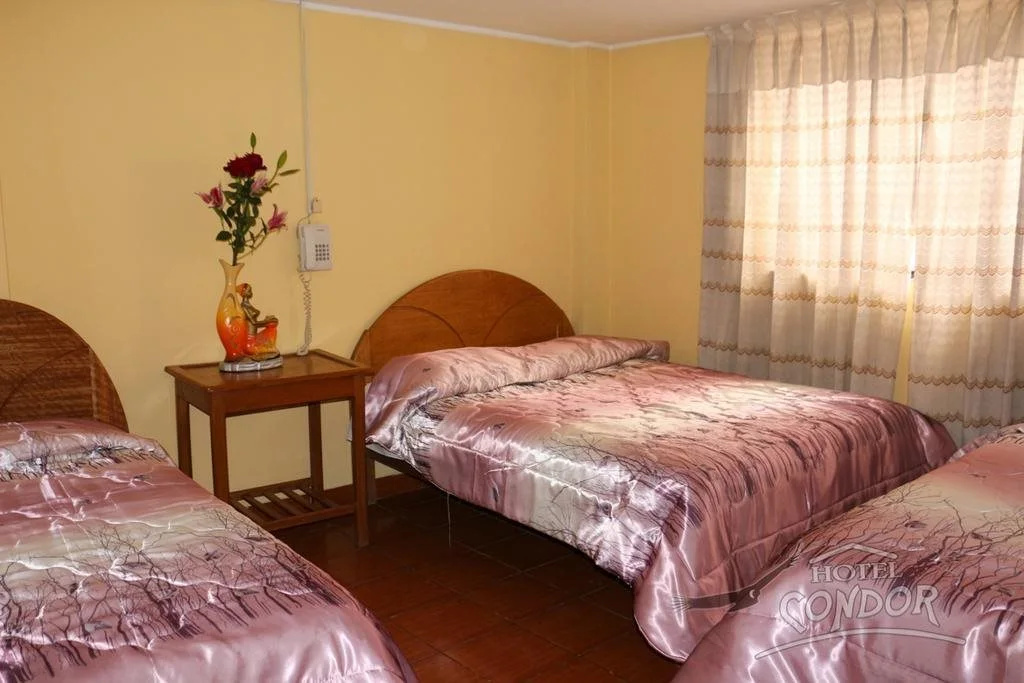 Hotel Condor