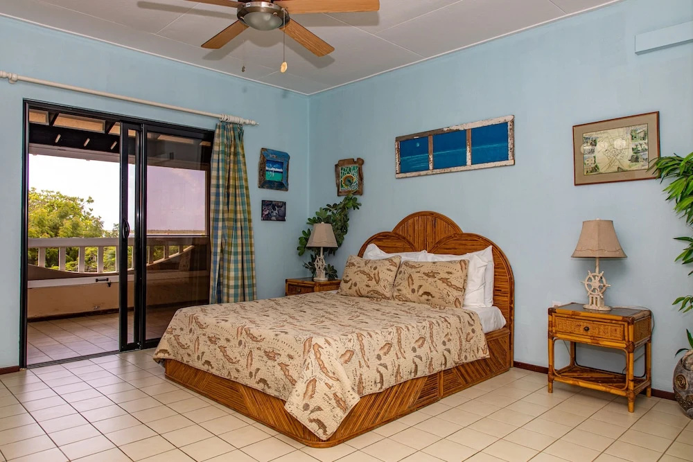Sand Dollar Bonaire