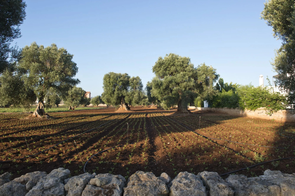 Masseria Don Luigi-Luxury Farmhouse