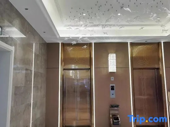 Venus International Hotel (Jiuhuashan Qingyang)