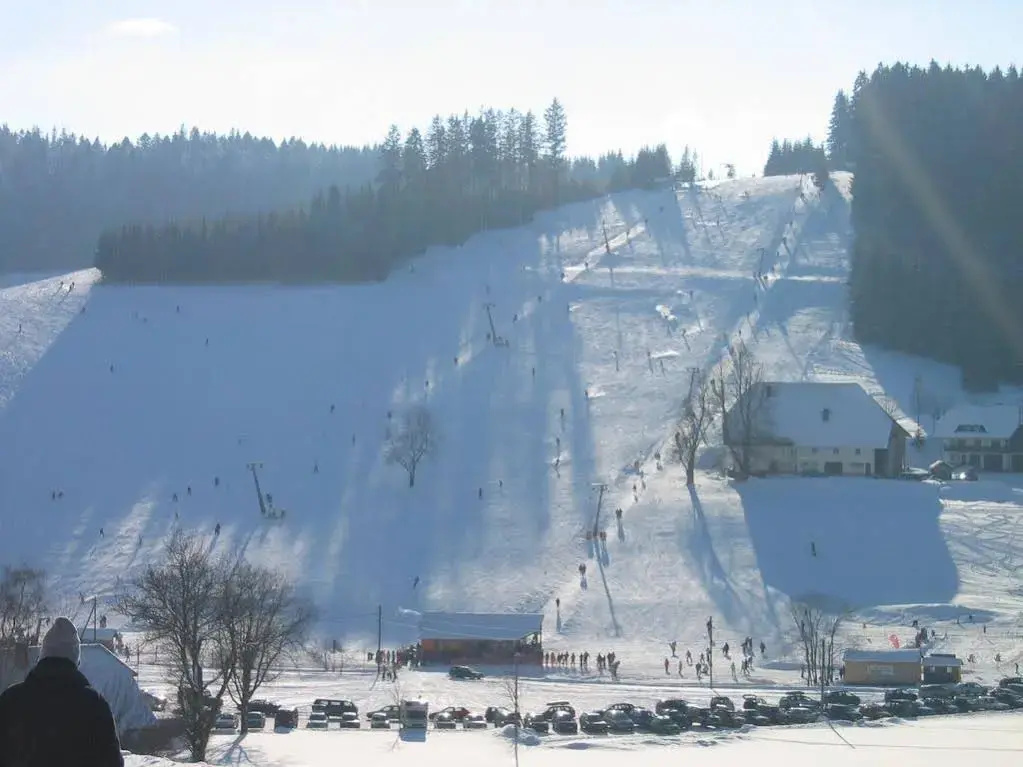 ZUR TRAUBE Schwarzwaldhotel & Restaurant am Titisee