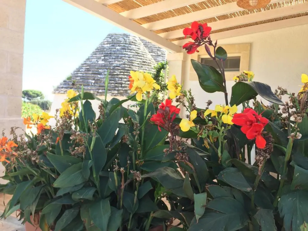 I Trulli di Gina Appartamento 4 persone