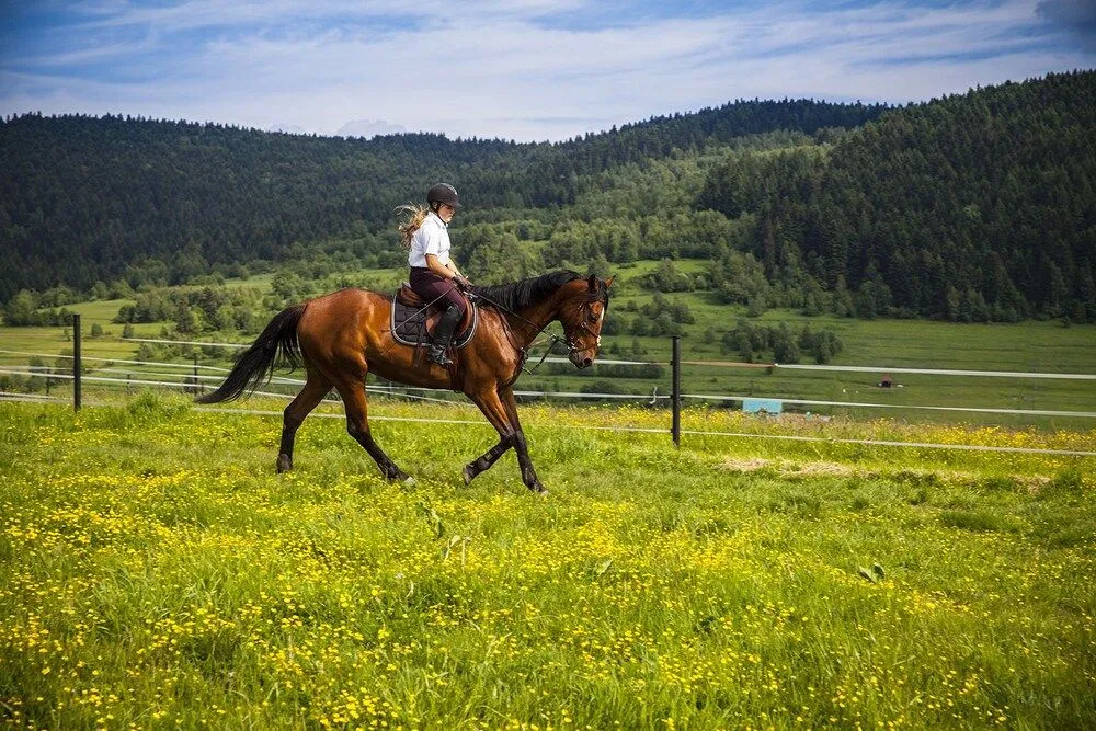 Rancho Adama - wypoczynek w sercu Beskidów!
