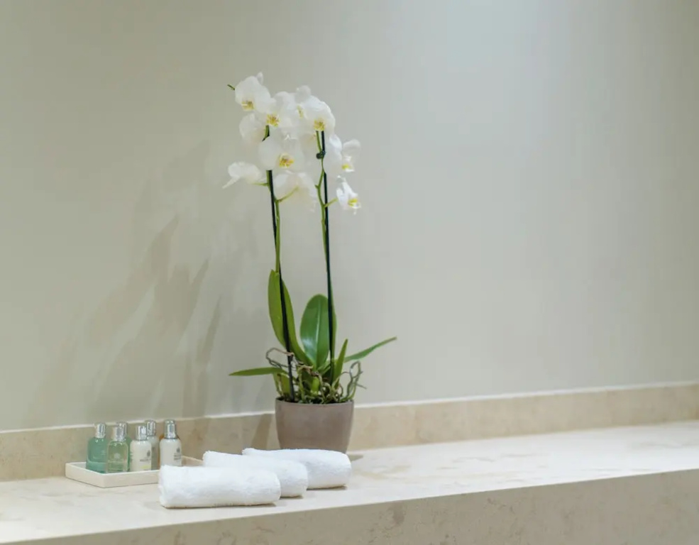 Argostoli Essence Suites