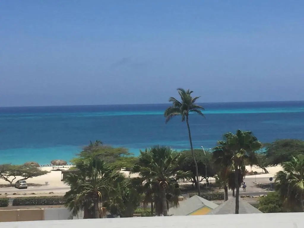 Modern Loft ,eagle Beach ,oasis Condo