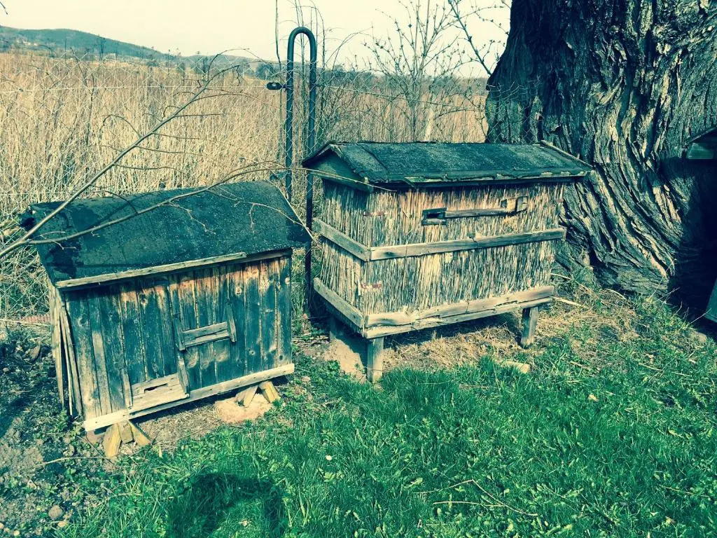 Apartamenty i Pokoje Aneta
