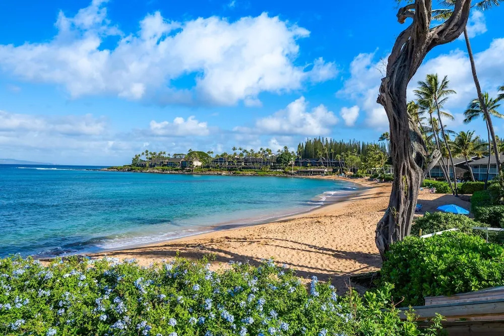 Napili Surf 207 in Lahaina