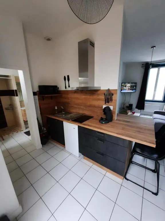 charmant studio plein centre ville