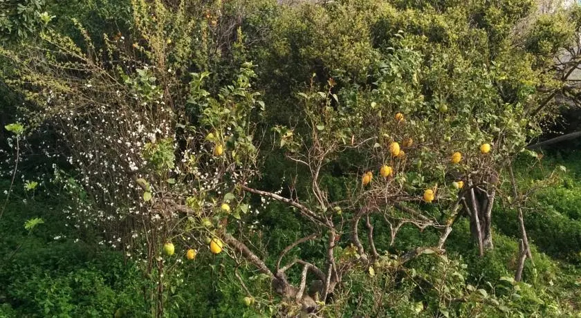 Appartamento Privato A Procida