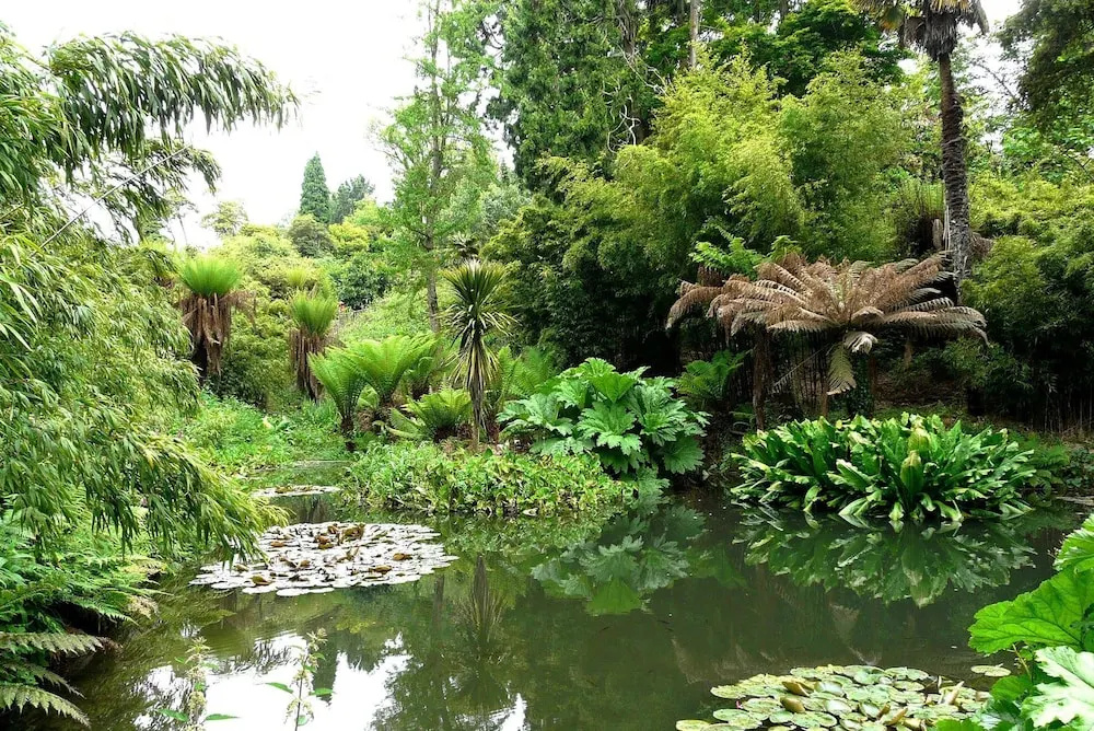 Rosemundy Villa