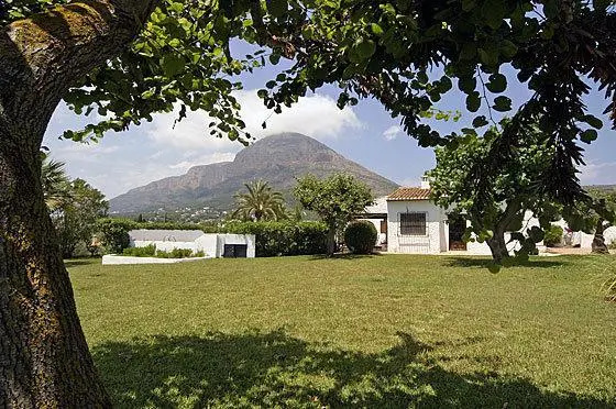 El Olivar