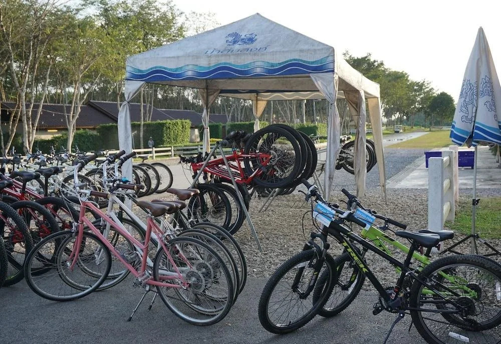 Singha Park Chiang Rai Camping