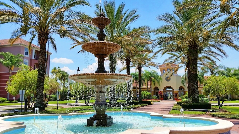 Orlando Dreams
