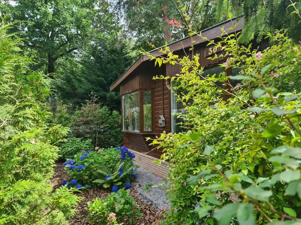 78 m2 double chalet - SAUNA -bubbel HOTTUB veranda-woods--big outdoor woodstove-BBQ
