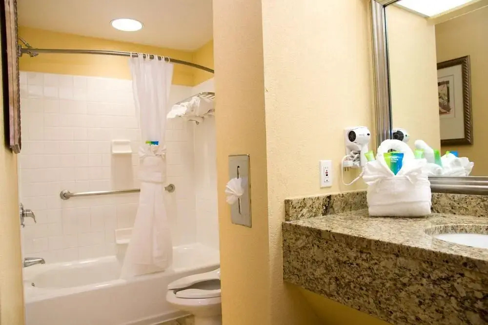 Holiday Inn Orlando Intl Drive Conv Center