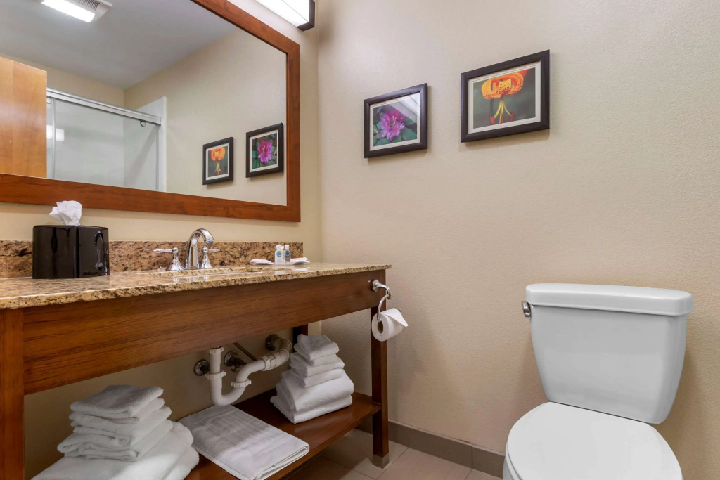 Comfort Suites Boone - University Area